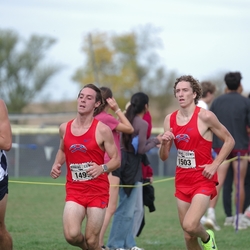 Photo: 261003-RunningoftheCows-NationalsPreMeet-40310-TLB