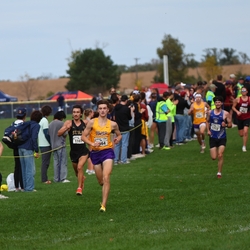 Photo: 261003-RunningoftheCows-NationalsPreMeet-40383-RJC