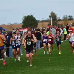 Photo: 261003-RunningoftheCows-NationalsPreMeet-40612-RJC