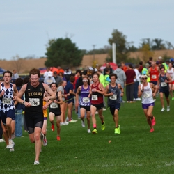 Photo: 261003-RunningoftheCows-NationalsPreMeet-40631-RJC
