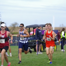 Photo: 261003-RunningoftheCows-NationalsPreMeet-40670-TLB