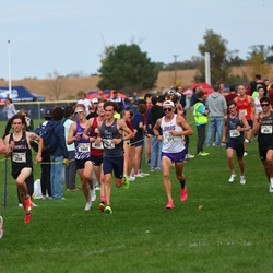 Photo: 261003-RunningoftheCows-NationalsPreMeet-40680-RJC