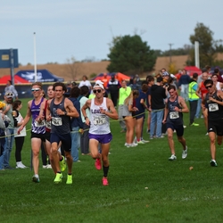 Photo: 261003-RunningoftheCows-NationalsPreMeet-40713-RJC
