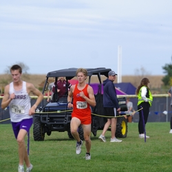 Photo: 261003-RunningoftheCows-NationalsPreMeet-40736-TLB