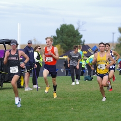 Photo: 261003-RunningoftheCows-NationalsPreMeet-40869-TLB