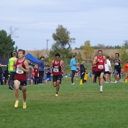 Photo: 261003-RunningoftheCows-NationalsPreMeet-40982-TLB