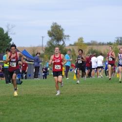Photo: 261003-RunningoftheCows-NationalsPreMeet-41007-TLB