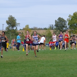 Photo: 261003-RunningoftheCows-NationalsPreMeet-41032-TLB