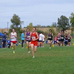 Photo: 261003-RunningoftheCows-NationalsPreMeet-41061-TLB