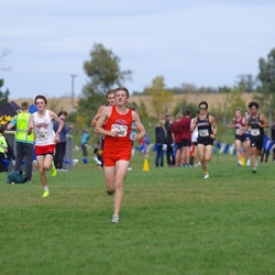 Photo: 261003-RunningoftheCows-NationalsPreMeet-41074-TLB