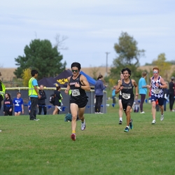 Photo: 261003-RunningoftheCows-NationalsPreMeet-41142-TLB