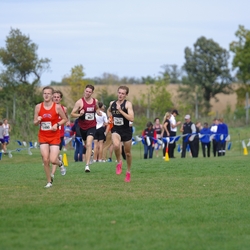 Photo: 261003-RunningoftheCows-NationalsPreMeet-41335-TLB