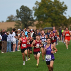 Photo: 261003-RunningoftheCows-NationalsPreMeet-41341-RJC