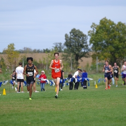 Photo: 261003-RunningoftheCows-NationalsPreMeet-41593-TLB