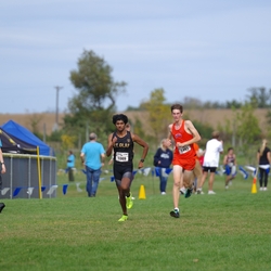 Photo: 261003-RunningoftheCows-NationalsPreMeet-41608-TLB