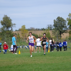 Photo: 261003-RunningoftheCows-NationalsPreMeet-41742-TLB
