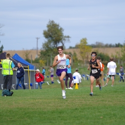 Photo: 261003-RunningoftheCows-NationalsPreMeet-41756-TLB