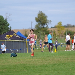 Photo: 261003-RunningoftheCows-NationalsPreMeet-41838-TLB