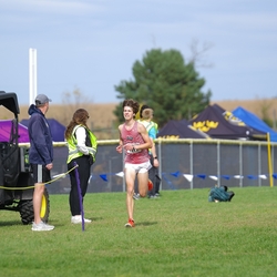 Photo: 261003-RunningoftheCows-NationalsPreMeet-41870-TLB
