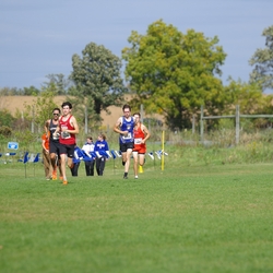 Photo: 261003-RunningoftheCows-NationalsPreMeet-42632-TLB