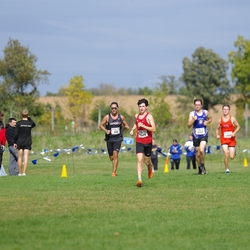 Photo: 261003-RunningoftheCows-NationalsPreMeet-42634-TLB