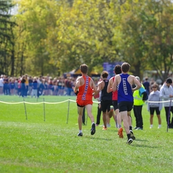 Photo: 261003-RunningoftheCows-NationalsPreMeet-42657-TLB