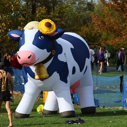 Photo: 261003-RunningoftheCows-NationalsPreMeet-42741-RJC