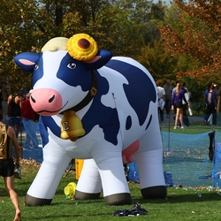 Photo: 261003-RunningoftheCows-NationalsPreMeet-42744-RJC