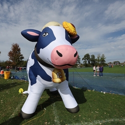 Photo: 261003-RunningoftheCows-NationalsPreMeet-42843-RJC