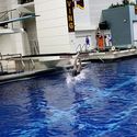 Photo: 090219F-4927-CW-2138
