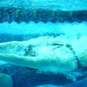 Photo: 090220P-2036-RJC-0346