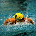 Photo: 090221F-3202-RN-0444