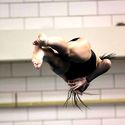 Photo: 090221F-0104-CW-0104
