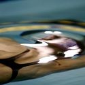 Photo: 090221F-4959-CW-2525