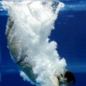 Photo: 090219F-0616-WG-0094