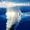 Photo: 090219F-0983-WG-0194