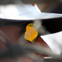 Photo: 130519-LUTR-UTT-0145